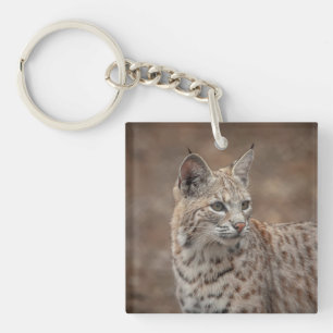 Portrait of a Bobcat Key Ring