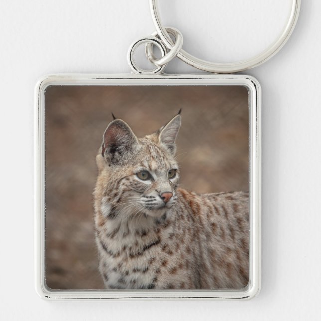 Portrait of a Bobcat Key Ring (Front)