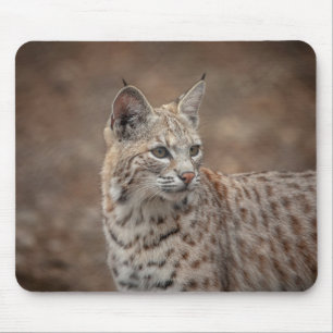 Portrait of a Bobcat Mouse Pad