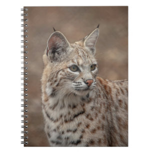 Portrait of a Bobcat Notebook