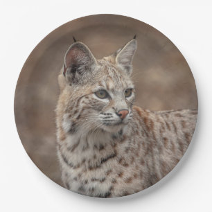 Portrait of a Bobcat Paper Plate