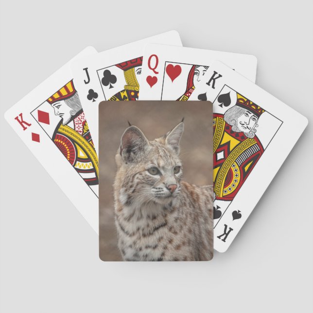 Portrait of a Bobcat Playing Cards (Back)