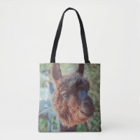 Portrait of a brown alpaca