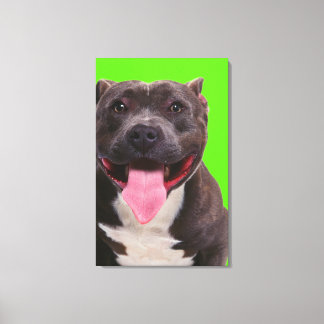 portrait of a bulldog canvas print