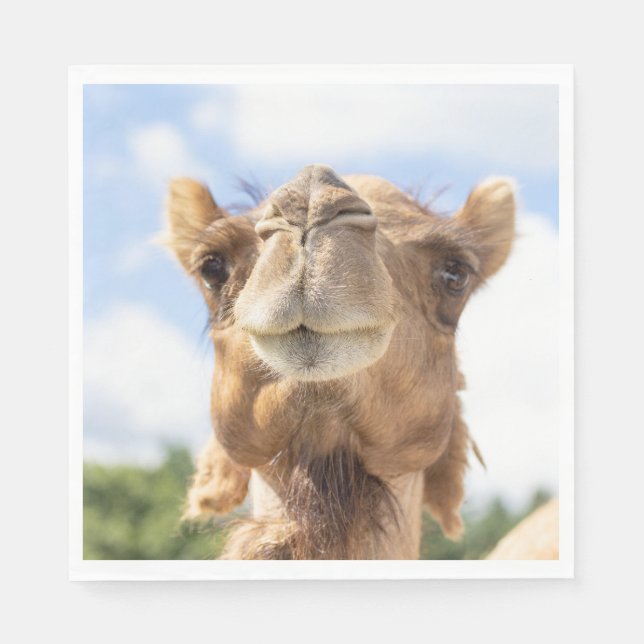 Portrait of a Camel Napkin (Front)