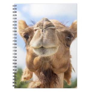 Portrait of a Camel Notebook