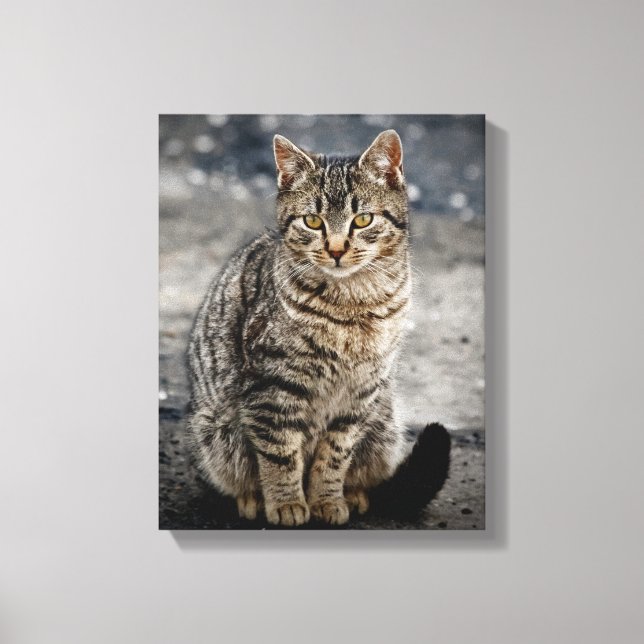 Portrait of a cat canvas print (Front)