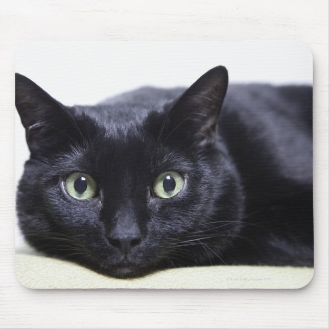 Portrait of a Cat Mouse Pad (Front)