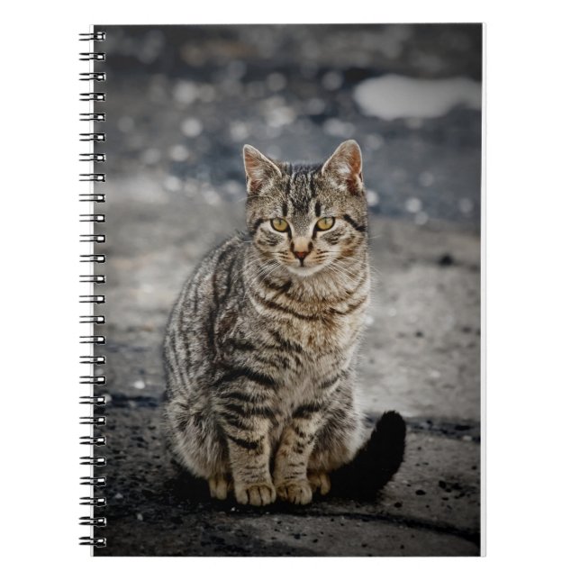 Portrait of a cat spiral notebook (Front)