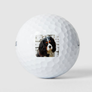Portrait Of A Cavalier King Charles Spaniel Golf Balls