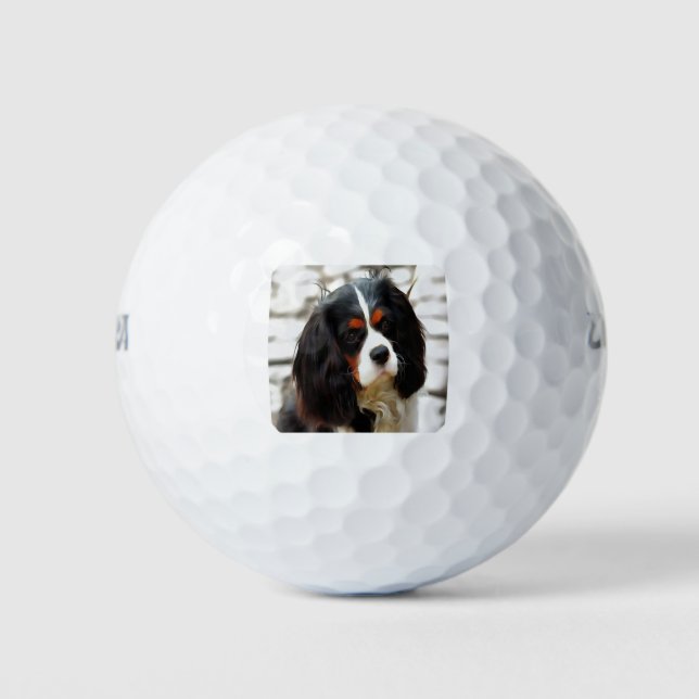 Portrait Of A Cavalier King Charles Spaniel Golf Balls (Front)