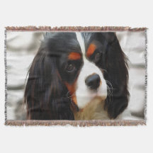 Portrait Of A Cavalier King Charles Spaniel