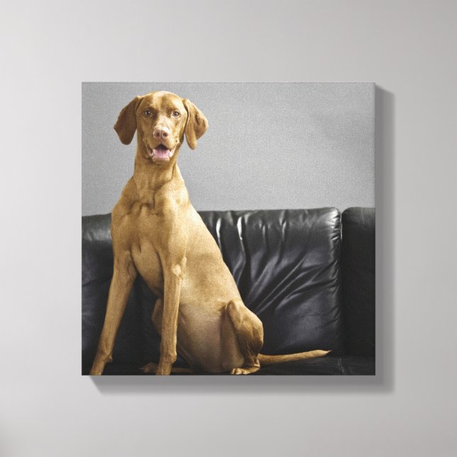 Portrait of a dog canvas print (Front)