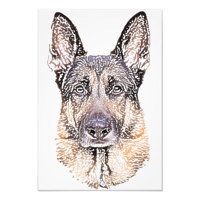 Portrait of a Dog German Shepherd Coloured Sketch Photo Print (Front)