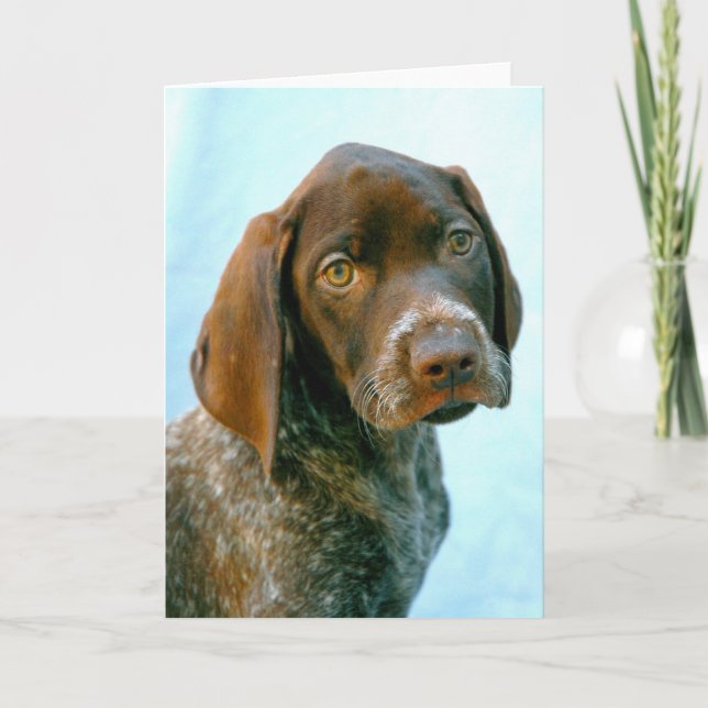 Portrait of a dog holiday card (Front)