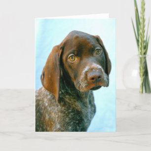 Portrait of a dog holiday card
