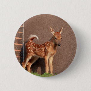 Portrait of a Fawn (white-tailed deer) 6 Cm Round Badge