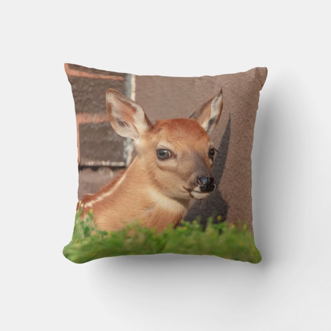 Portrait of a Fawn (white-tailed deer) Cushion (Front)