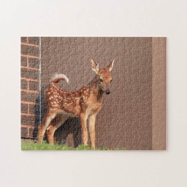 Portrait of a Fawn (white-tailed deer) Jigsaw Puzzle (Horizontal)