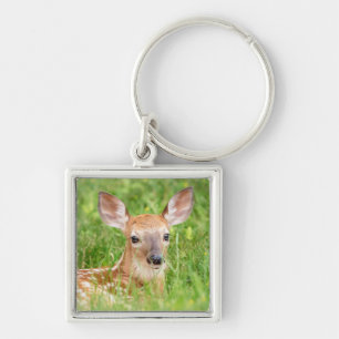 Portrait of a Fawn (white-tailed deer) Key Ring