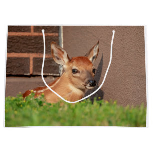 Portrait of a Fawn (white-tailed deer) Large Gift Bag