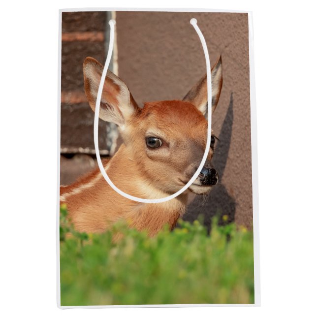 Portrait of a Fawn (white-tailed deer) Medium Gift Bag (Front)