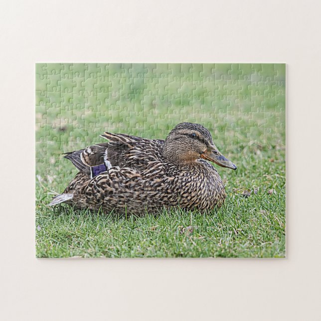 Portrait of a female mallard jigsaw puzzle (Horizontal)