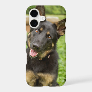 Portrait of a German Shepherd