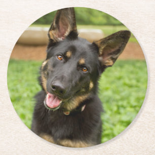 Portrait of a German Shepherd Round Paper Coaster