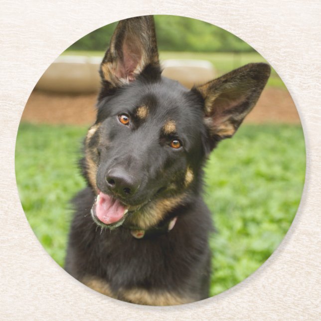 Portrait of a German Shepherd Round Paper Coaster (Front)