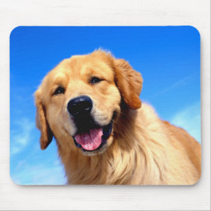 Portrait of a Golden Retriever Mouse Pad