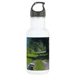Portrait of a golden retriever sitting down 532 ml water bottle