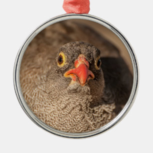 Portrait of a Grouse Metal Tree Decoration
