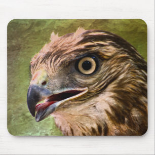 Portrait of a Hawk Mouse Pad