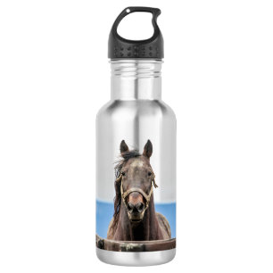 Portrait of a horse 532 ml water bottle