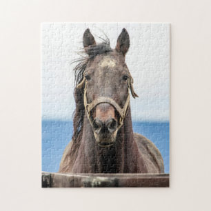 Portrait of a horse jigsaw puzzle