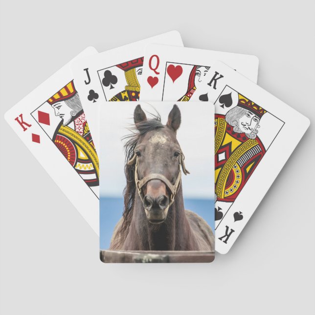Portrait of a horse playing cards (Back)