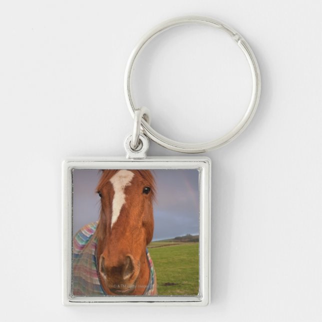Portrait Of A Horse With A Rainbow In The Sky Key Ring (Front)