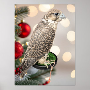 Portrait Of A Hunting Falcon Real Photo Poster