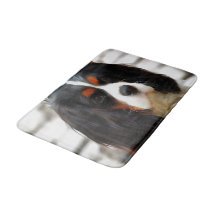 Portrait Of A King Charles Cavalier Spaniel