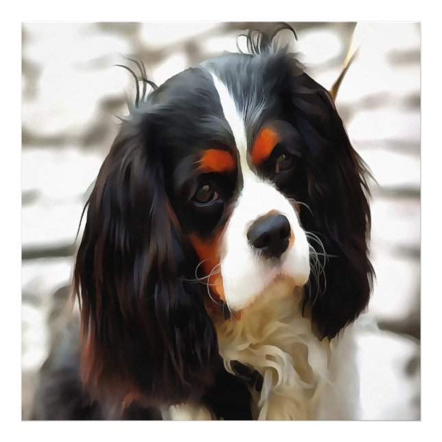 Portrait Of A King Charles Cavalier Spaniel Photo Print (Front)