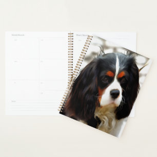 Portrait Of A King Charles Cavalier Spaniel Planner