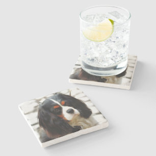 Portrait Of A King Charles Cavalier Spaniel Stone Coaster