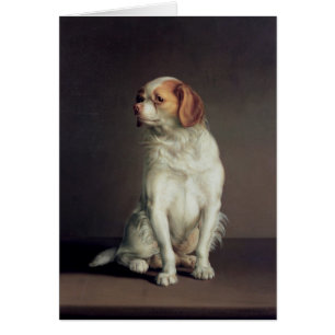 Portrait of a King Charles Spaniel