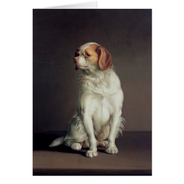 Portrait of a King Charles Spaniel (Front)