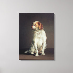 Portrait of a King Charles Spaniel Canvas Print