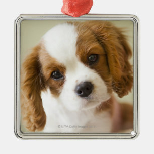 Portrait of a King Charles Spaniel puppy. Metal Tree Decoration
