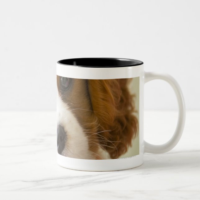 Portrait of a King Charles Spaniel puppy Two-Tone Coffee Mug (Right)