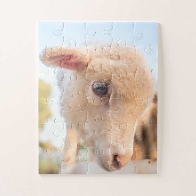 Portrait of a little lamb jigsaw puzzle (Vertical)