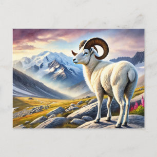 Portrait of a Majestic Dall Ram Postcard